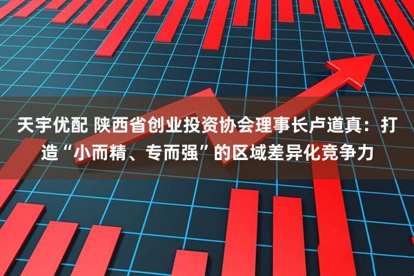 天宇优配 陕西省创业投资协会理事长卢道真：打造“小而精、专而强”的区域差异化竞争力