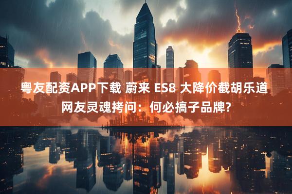 粤友配资APP下载 蔚来 ES8 大降价截胡乐道 网友灵魂拷问：何必搞子品牌?