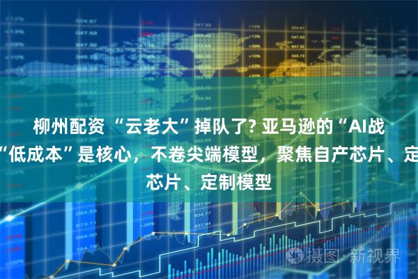 柳州配资 “云老大”掉队了? 亚马逊的“AI战略”：“低成本”是核心，不卷尖端模型，聚焦自产芯片、定制模型